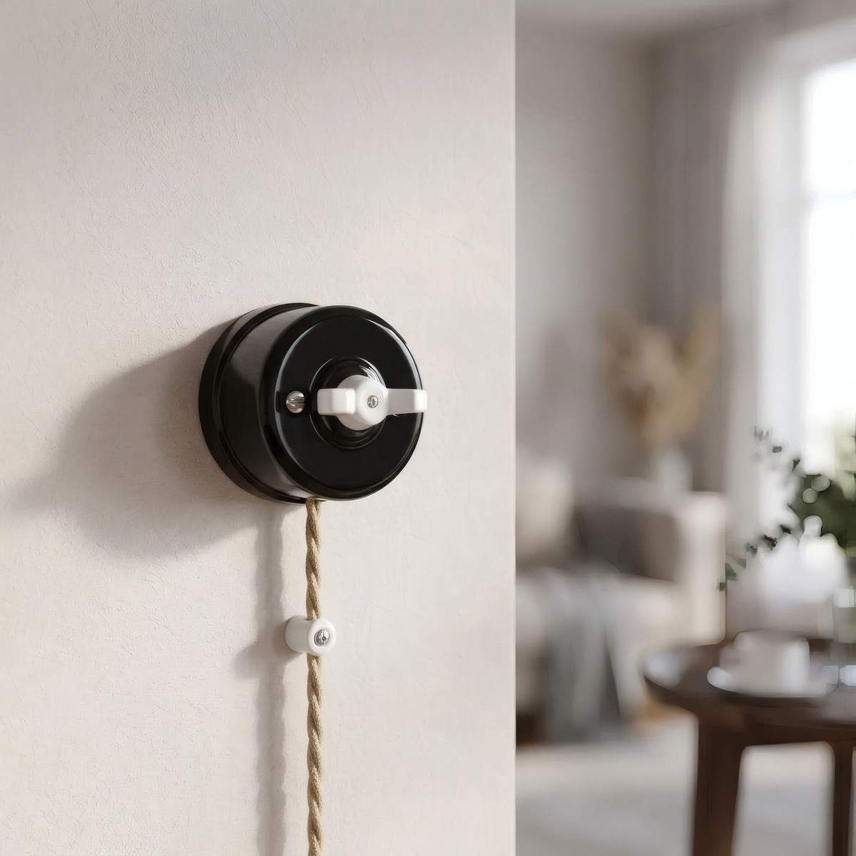 Interrupteur va-et-vient en porcelaine à écrou papillon — Noir / Blanc